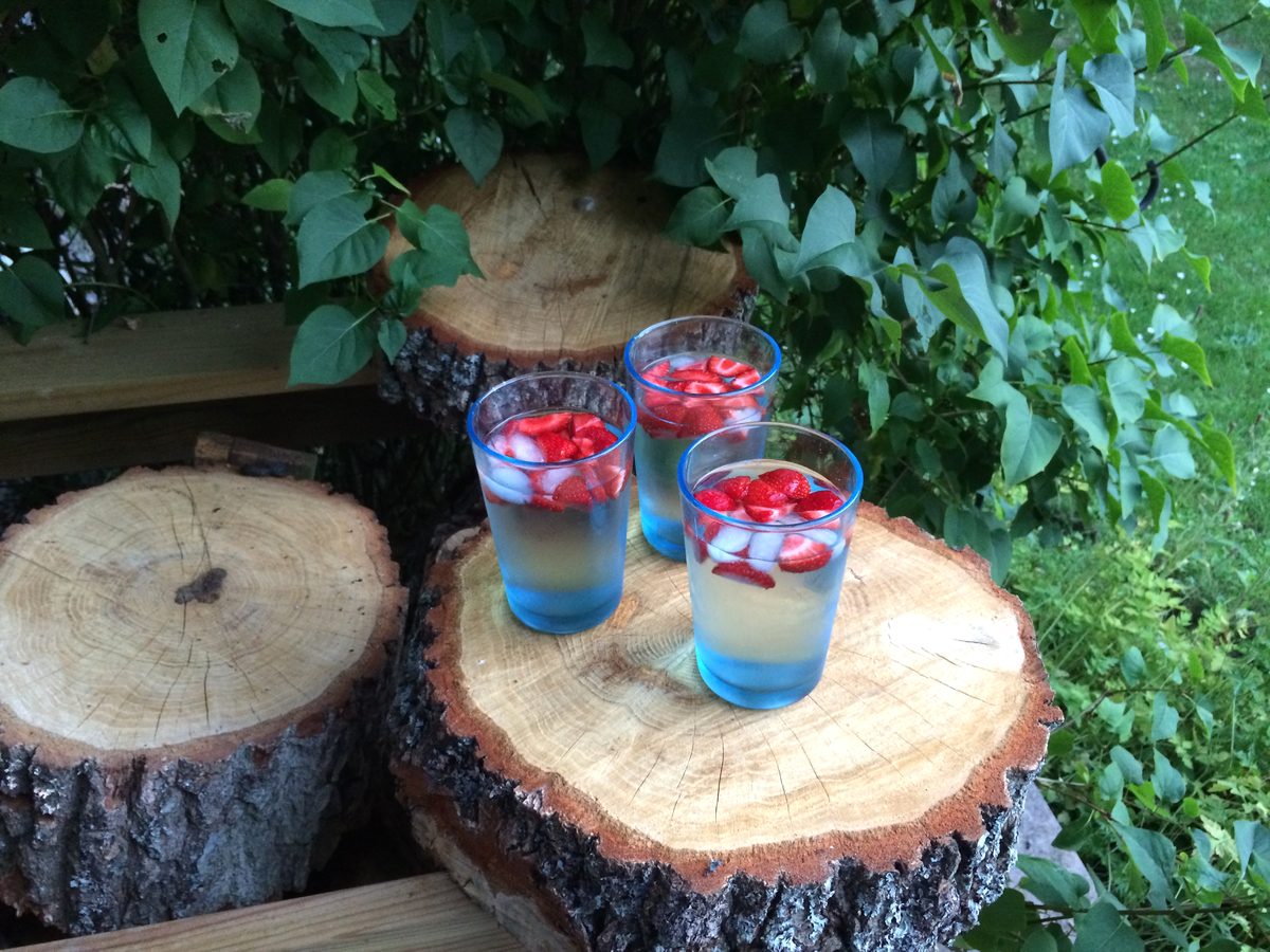 Summer drinks served on a tree-trunk table in the cabin garden
